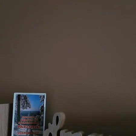 Pavlovic דירה קופאוניק