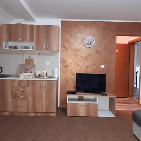 Pavlovic * קופאוניק